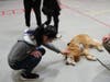 A Kennedy School student gets to know Kare 9 Nigel. 