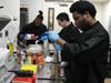 Kennedy School students work together to prepare green bean casserole, adding the perfect touch to the school’s Thanksgiving feast. 