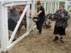 Debbie Macenas, Activity/Production Assistant at St. Coletta’s of Illinois, joins participants Billy and Scott as they feed the pigs at Navarro Farm in Frankfort. 