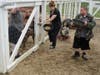 Debbie Macenas, Activity/Production Assistant at St. Coletta’s of Illinois, joins participants Billy and Scott as they feed the pigs at Navarro Farm in Frankfort. 