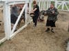 Debbie Macenas, Activity/Production Assistant at St. Coletta’s of Illinois, joins participants Billy and Scott as they feed the pigs at Navarro Farm in Frankfort.