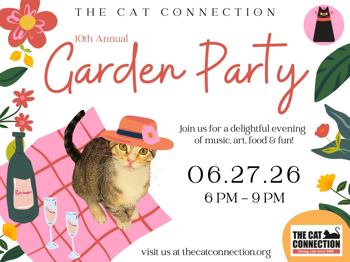 The Cat Connection Garden Party