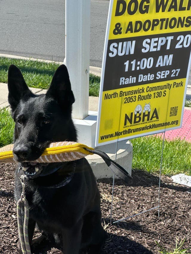 North Brunswick Humane Society Dog Walk-a-Thon