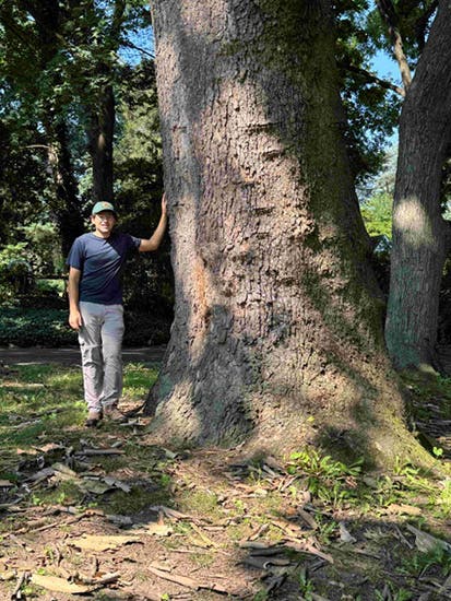 Sparta's NJ Heritage White Oak 10th Year Measurement Ceremony