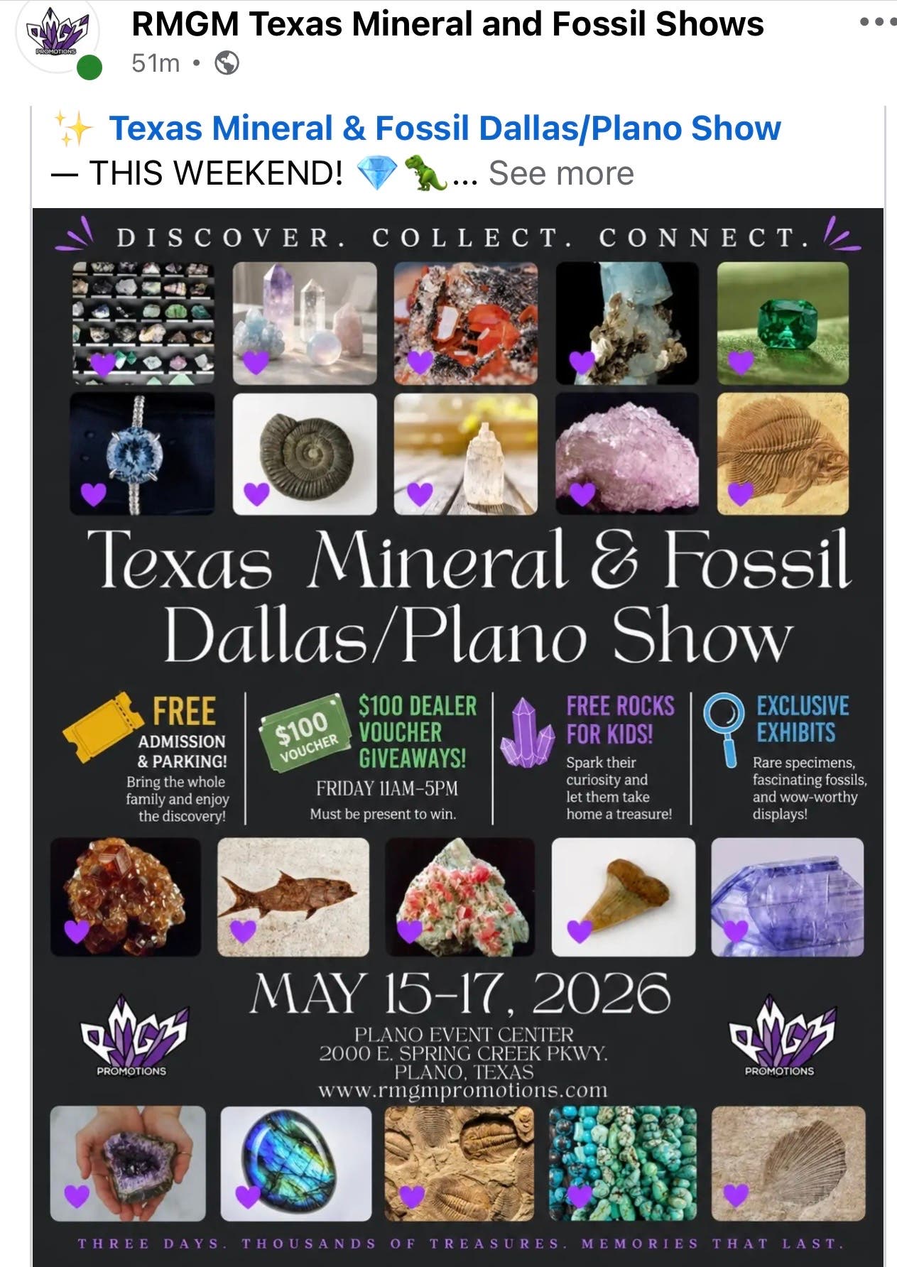 Texas Mineral and Fossil Show