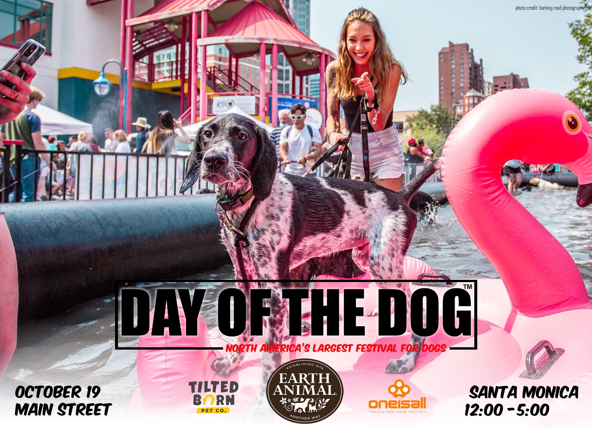 The Day of the Dog Festival