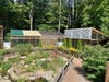 The Roaring Brook Nature Center in Canton has long been an educational destination for area children and families. Here is the enclosure for raptors as well as a pond area for turtles.