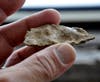 That unusual-looking thing dug up in your back yard might just be some sort of historical relic. A special Avon Historical Society program Saturday at the local library could help you figure out what it is.