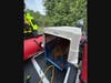 Colleagues of Southington Fire Department Lt. Daniel Cohen rescued a dog from a home in Vermont as a team of specially trained Connecticut responders are aiding that state's rescue and recovery from flooding up north. Comen took this picture.