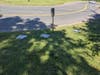 Berlin Democrats claim that several campaign signs they had placed near the Berlin Fairgrounds over the weekend were uprooted, destroyed and thrown in a nearby wooded area.