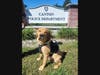 Canton police have a new law enforcement officer in town and his name is 'Leo,' an abandoned puppy that has been accepted into the Canton Police Department to serve the community.