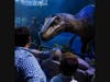 Guests will be able to visit with astoundingly life-like dinosaurs this weekend in Hartford, courtesy of the 'Jurassic World Live Tour' at the XL Center.