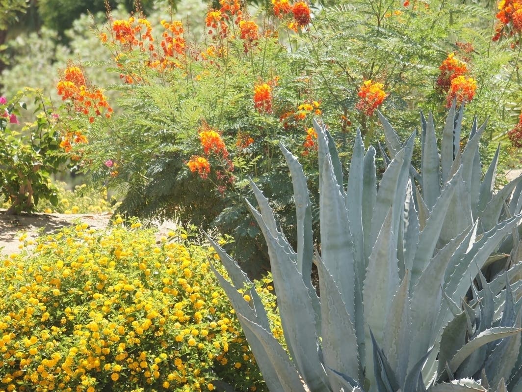 A local company is planning to build a large retail/commercial nursery and garden center in Farmington next year. It received approval from the town's zoning board last month.