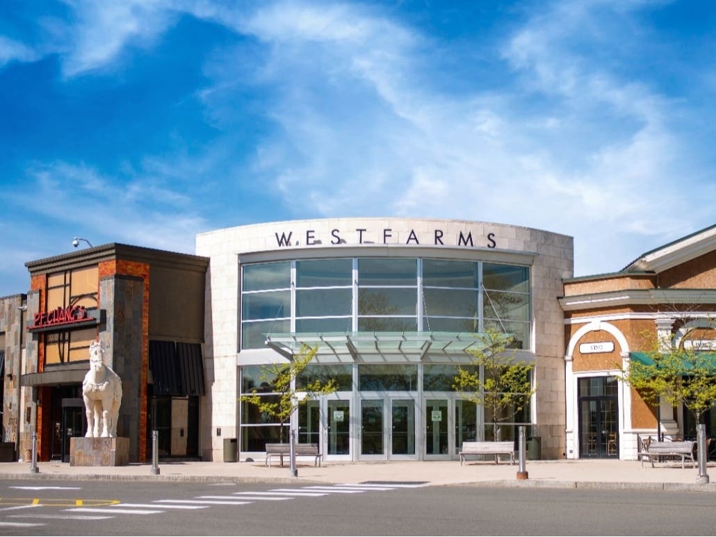 Police from three area departments swarmed the Westfarms Mall in Farmington/West Hartford Saturday afternoon to apprehend five juvenile car theft suspects.
