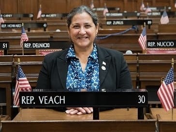 State Rep. Donna Veach, R-Berlin, has been officially tabbed by her party to seek re-election to the 30th House District.