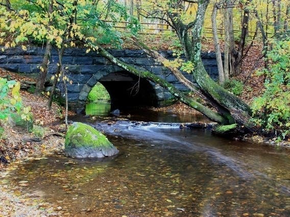 The Farmington Land Trust recently received funding to help it plan for improved fishing and public access to a section of the Farmington River in Unionville.
