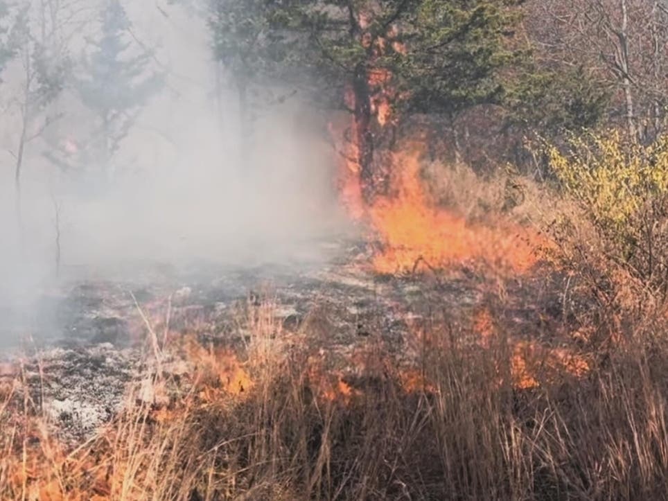 Though still only impacting unpopulated areas of Berlin, the Lamentation Mountain forest fire still burns, albeit as state officials are already planning to aid in the area's recovery botanically and biologically.