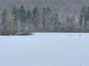 Trained in ice rescues, two West Hartford Fire Department members crawl over the ice, far left, to get to the deer, far right.