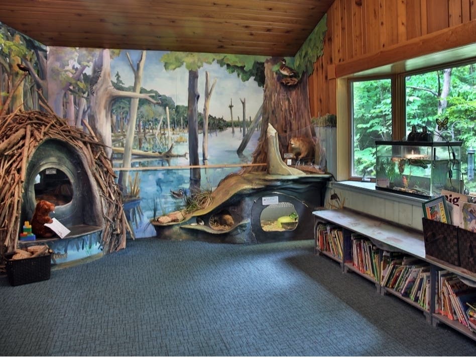 The Roaring Brook Nature Center in Canton recently released a five-minute film about what the popular and educational attraction has to offer.