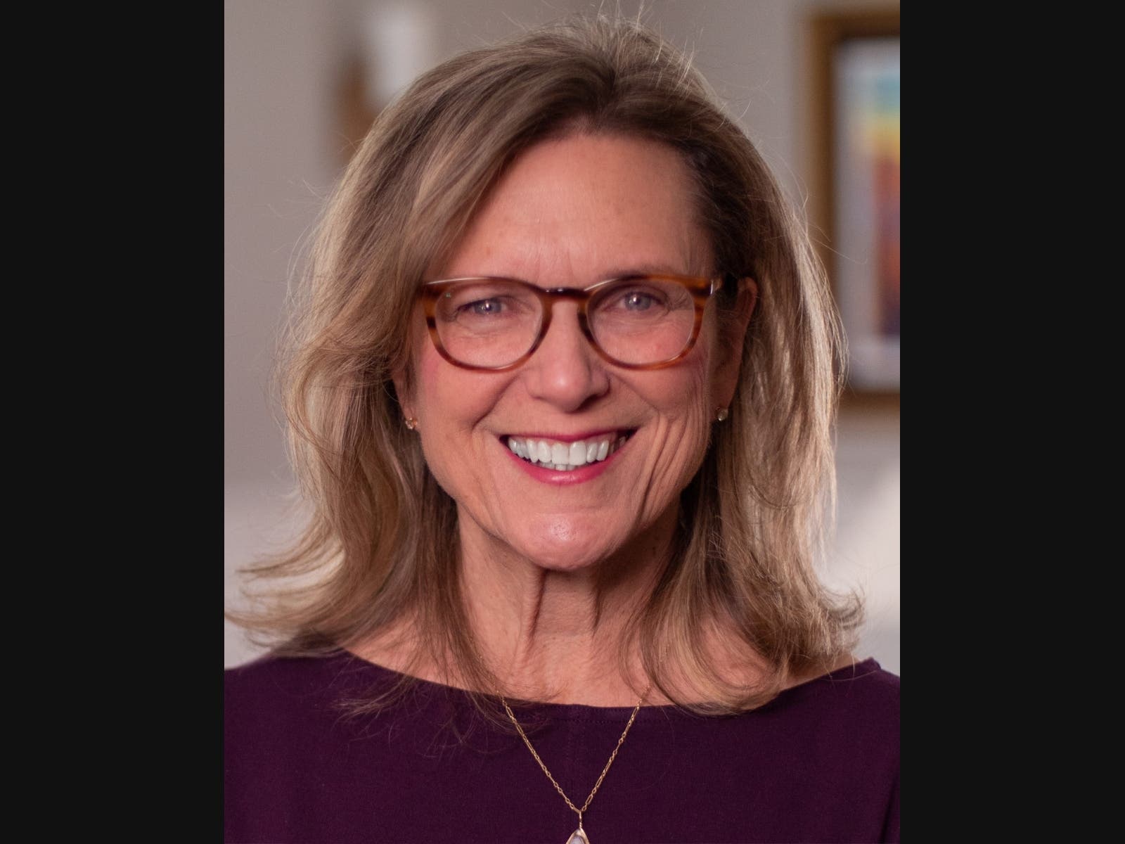 State Sen. Julie Kushner, D-Danbury, announced plans last week to seek a fifth term in office.