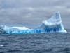 Iceberg, dead ahead. The Raymond family of Simsbury saw many icebergs in addition to the wildlife while visiting Antarctica last December.