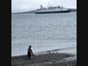 A lone penguin looks at the cruise ship that brought the Raymonds of Simsbury to their Antarctic home last December.