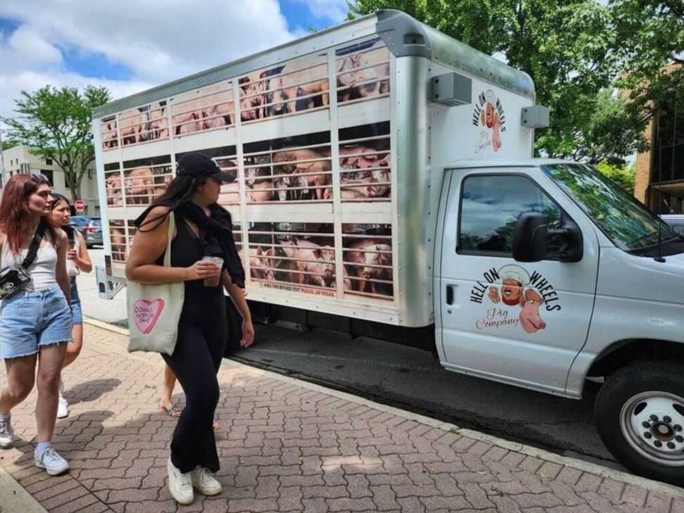 The 'Hell on Wheels' pig truck owned by PETA will be stationed outside at a well-known Hartford barbecue restaurant.