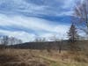 The Southington Land Conservation Trust recently announced a major grant award that will fund the trust's development of the recently acquired Lovely Preserve on Welch Road, above.
