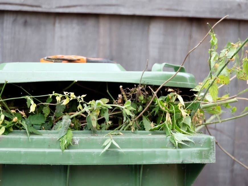 Avon residents have the opportunity this spring to dispose of brush at no cost at the town’s transfer station.