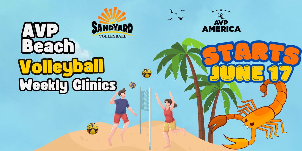 SandYard Beach and Grass Volleyball