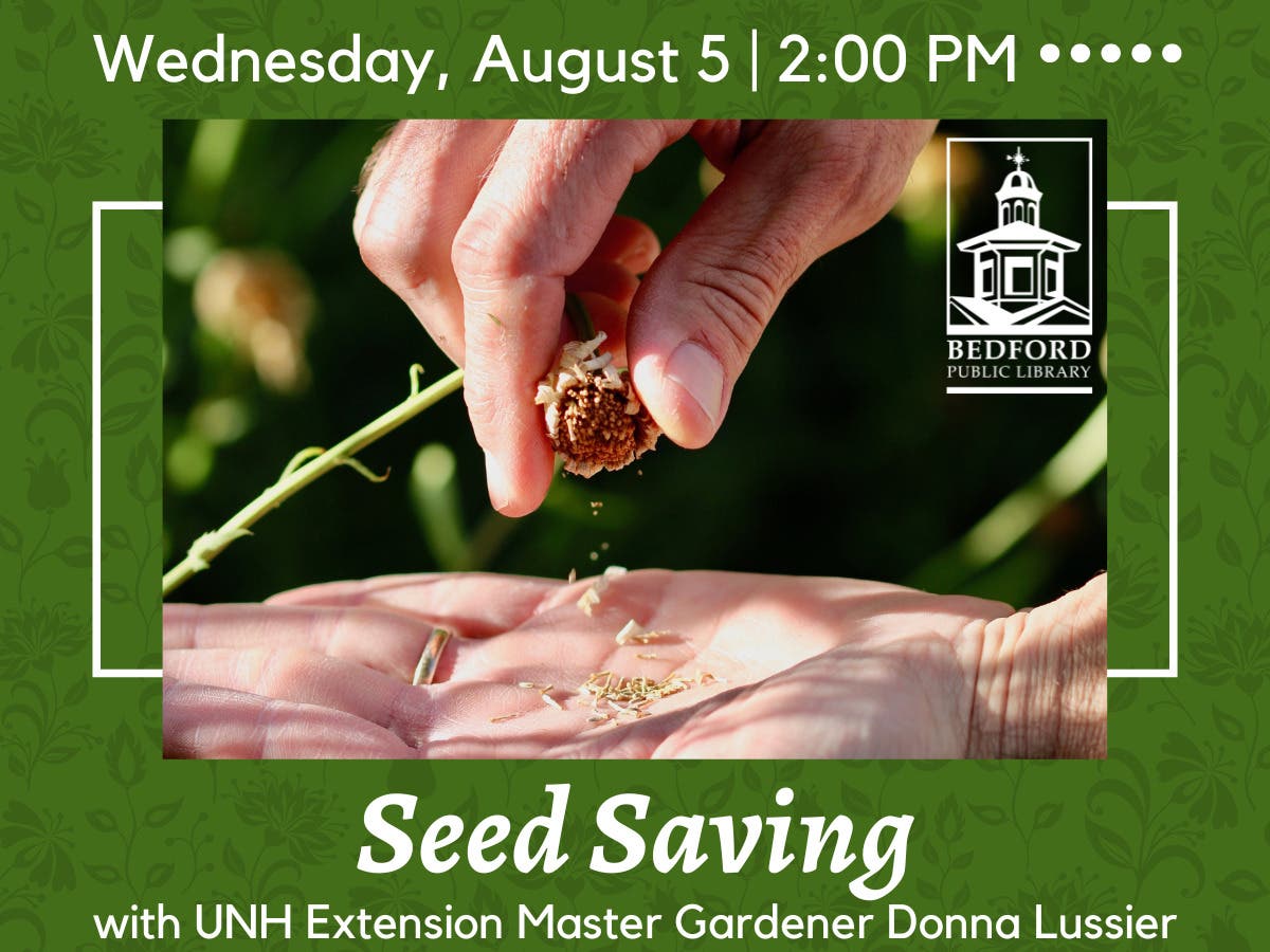 Seed Saving with UNH Extension Master Gardener Donna Lussier