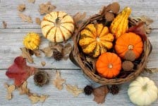 Fall Craft & Vendor Fair
