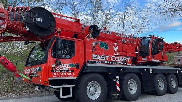 East Coast Tree Service  781-518-8014