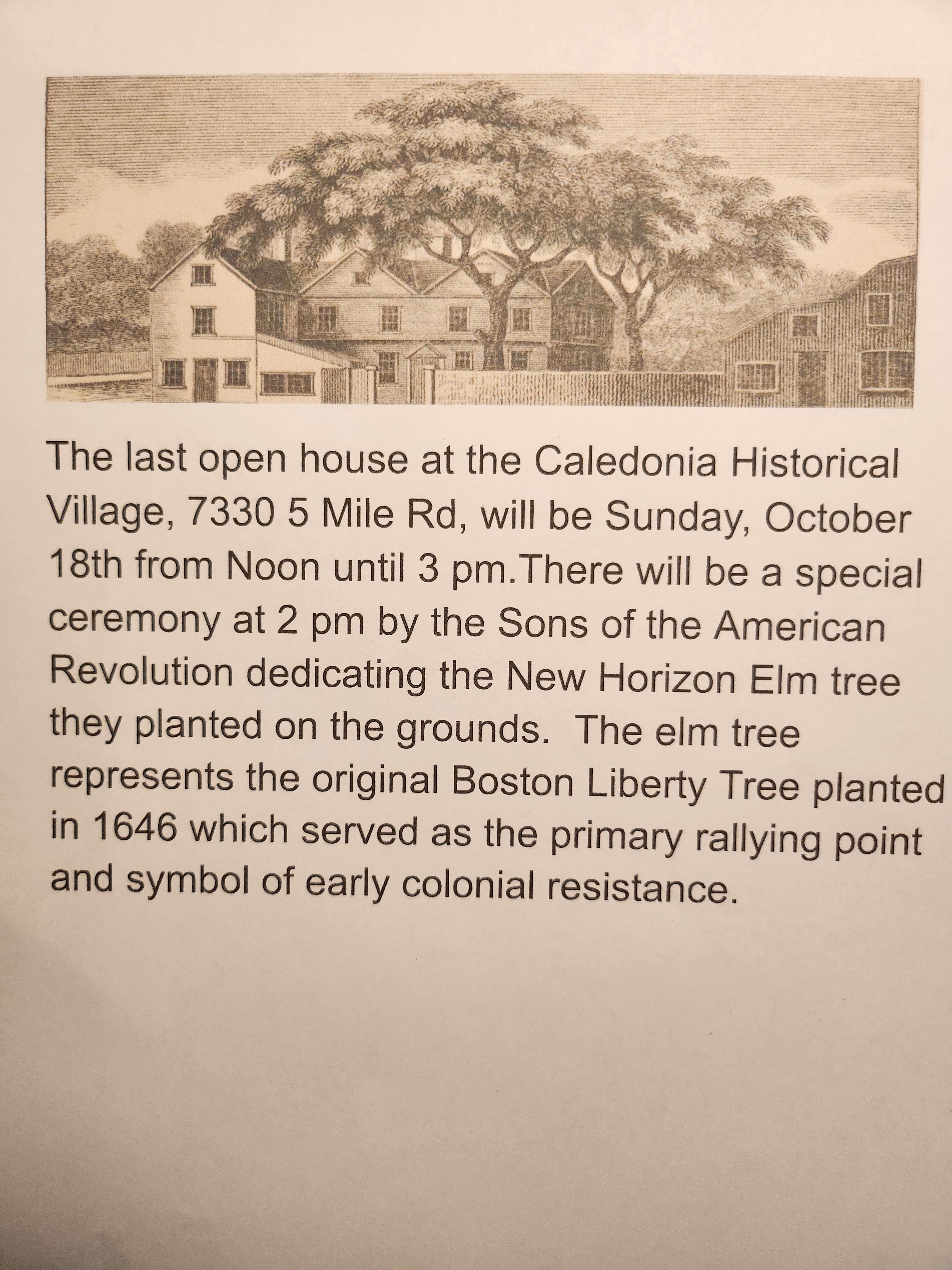 Liberty Tree dedication