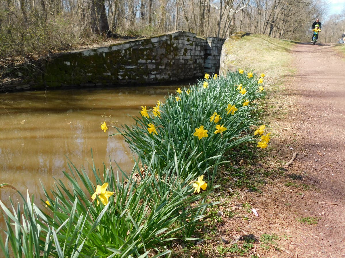 Along the Delaware Canal Towpath in Bucks County.
