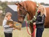 Hank the Horse always enjoys a good book.