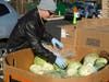 A Fresh Connect volunteer hands out cabbage during the food distribution.