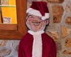 Zanta Claus by Cathy Cataldi. You can see her entire creation in person at the Solebury Township building.