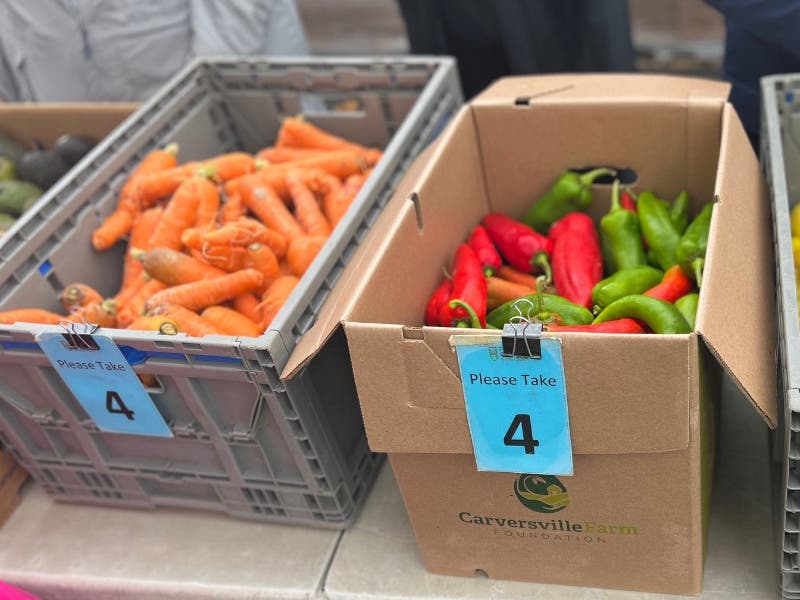 Among its many programs is Fresh Connect, which distributes fresh vegetables and fruit to needy individuals.