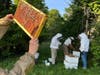 Students in Dr Vince Aloyo’s Intermediate Beekeeping Class assist in a full hive inspection(2022)