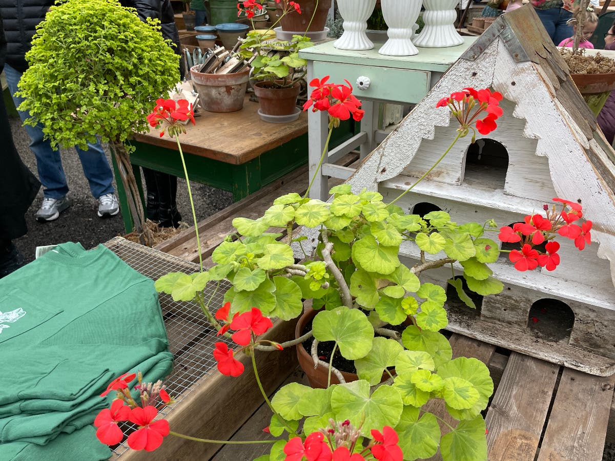 Inside the garden shop at Hortulus Farm.