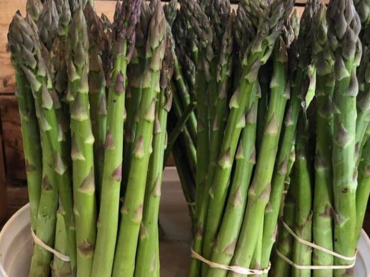 Fresh asparagus at the Wrightstown Farmer's Market.