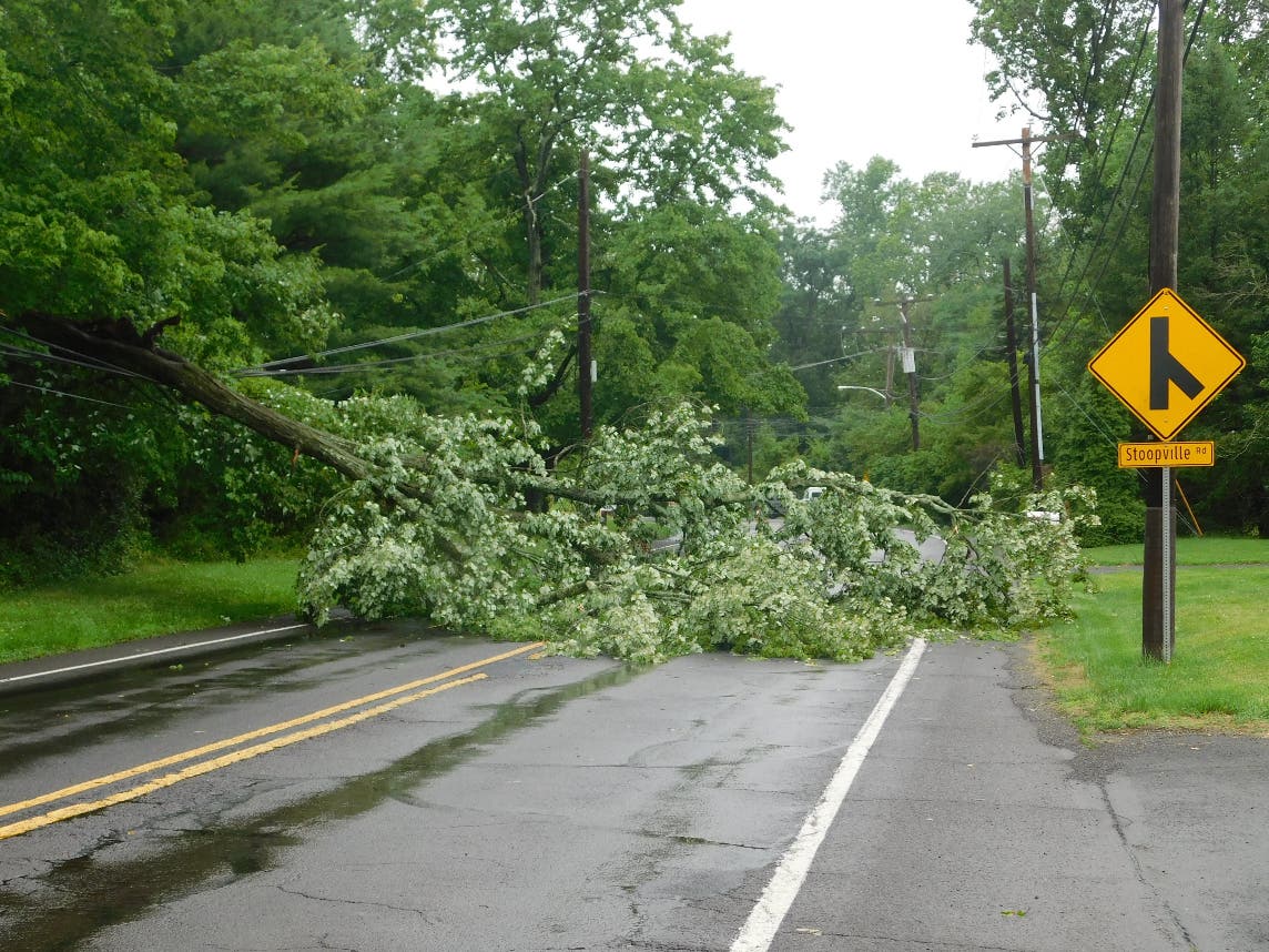 A tree laying across wires on Route 413 between Twining Bridge Road and Stoopville Road.