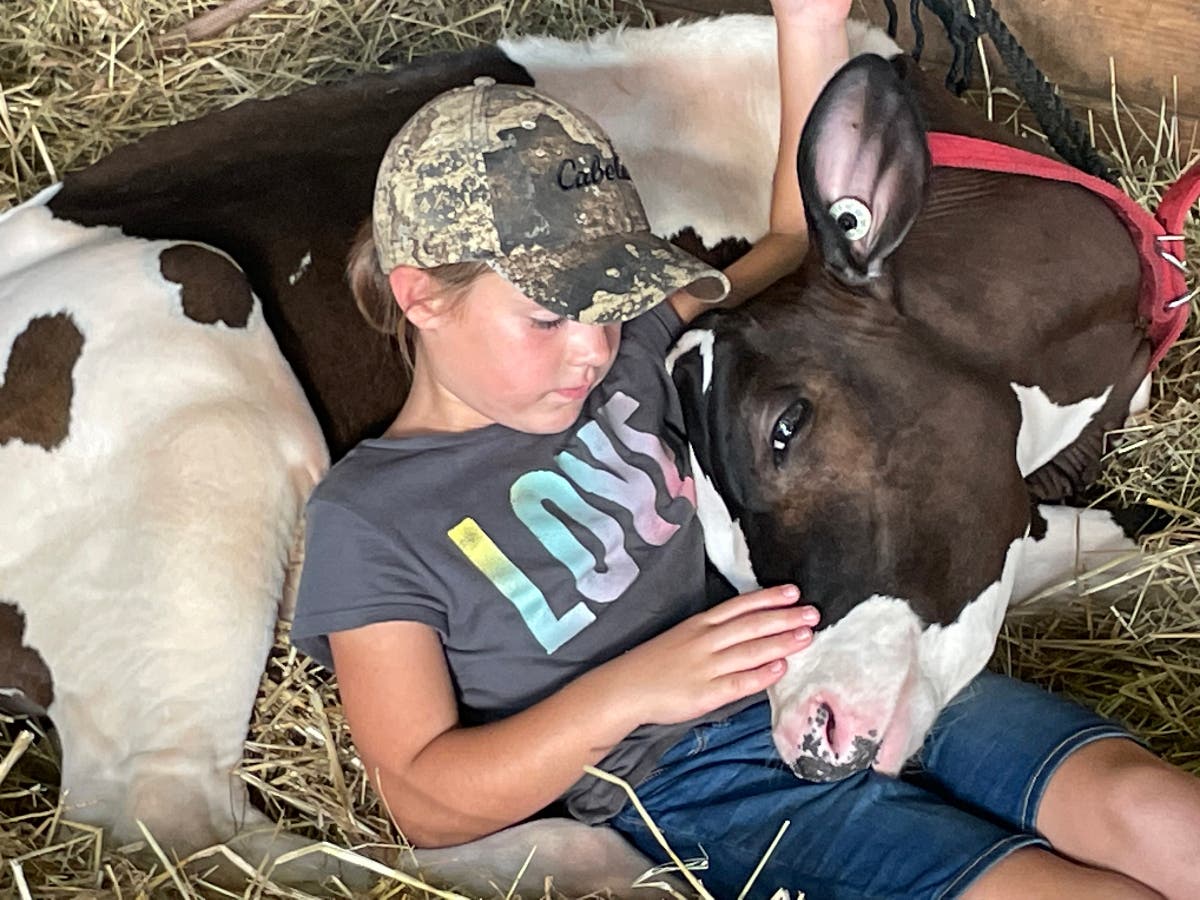 Abby Crooke of Kitnersville enjoys some quiet time with her black and white Holstein named Paste. Abby is a student in the Palisades School District and a 4-H member.