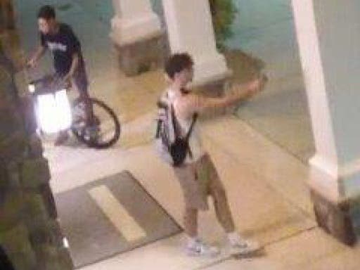 Police are looking for these two individuals in connection with an incident of vandalism in New Britain Township.