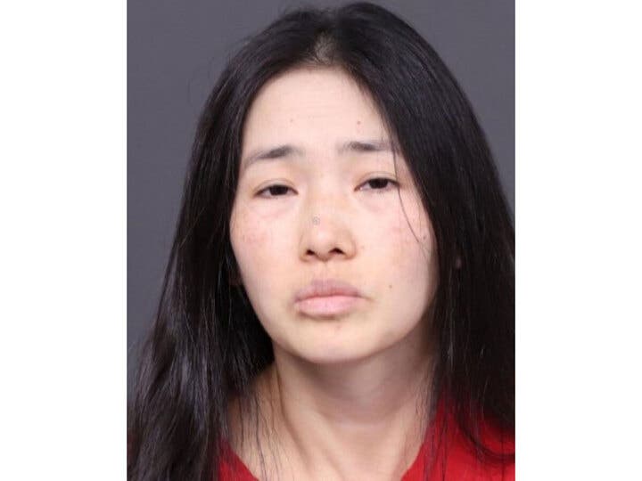 Trinh Nguyen pleaded guilty on Dec. 20 to the murder of her two sons at her Upper Makefield Township home in 2022.