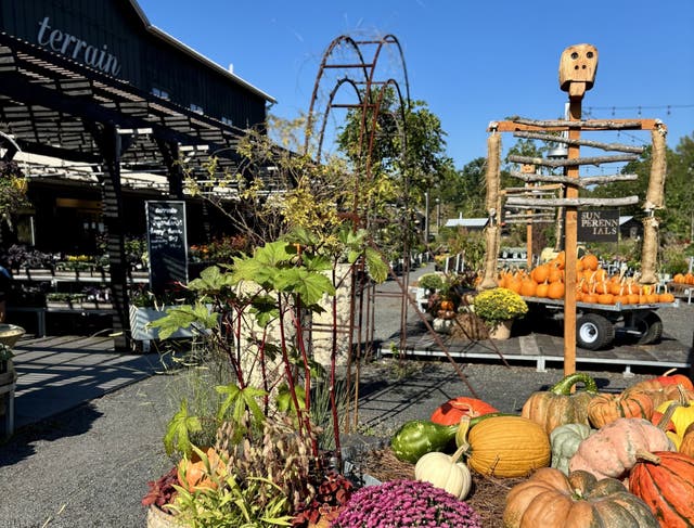 Fun Bucks Color 5 Fun Things To Do This Weekend In Bucks County | Doylestown, PA Patch