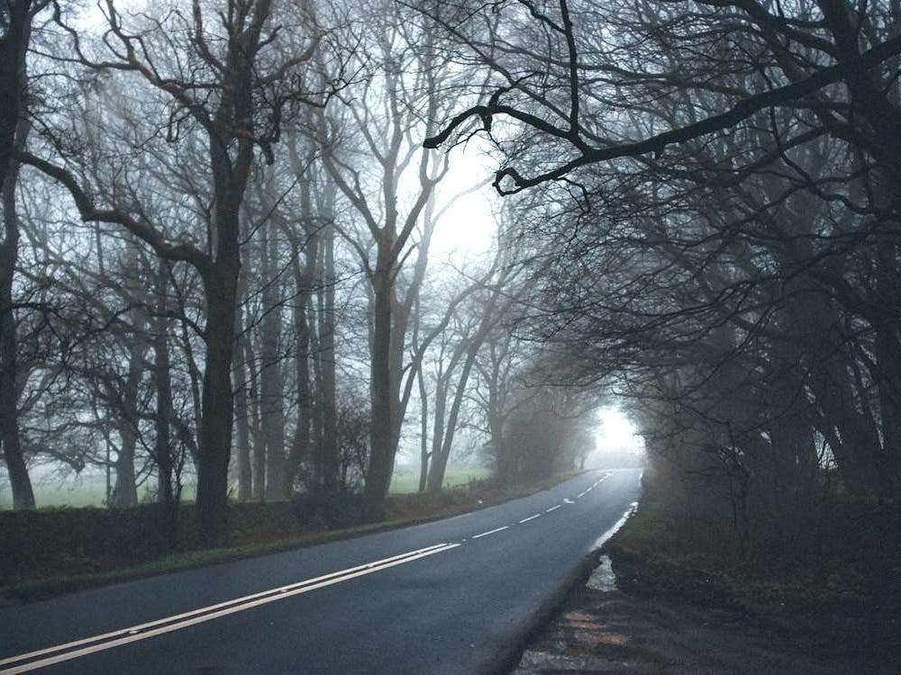 Patterson Rd Haunted Bucks Co. Road Ranks Among The 'Most Haunted' In The Nation ...