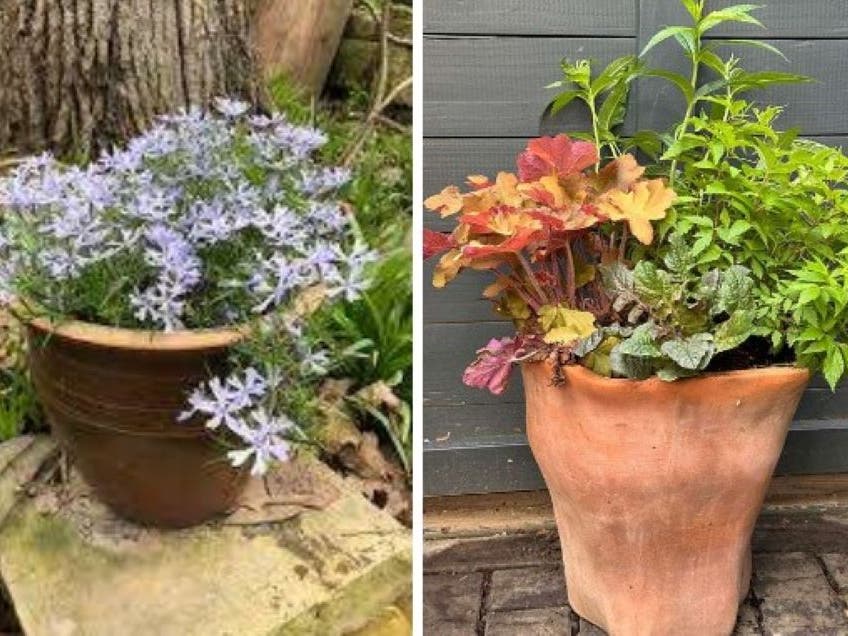 The Newtown Borough EAC is now taking registrations for a "Plant Native, Grow Happy: Container Gardening Workshop."