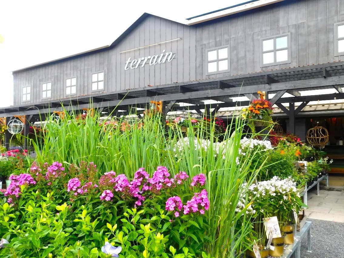 Terrain in Doylestown Township.